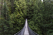 Obraz Drevený most v džungli 1431
